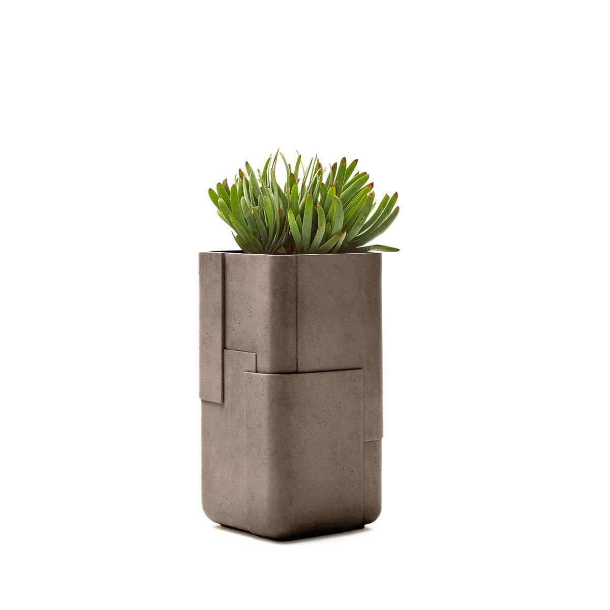 Aarde Tall XS