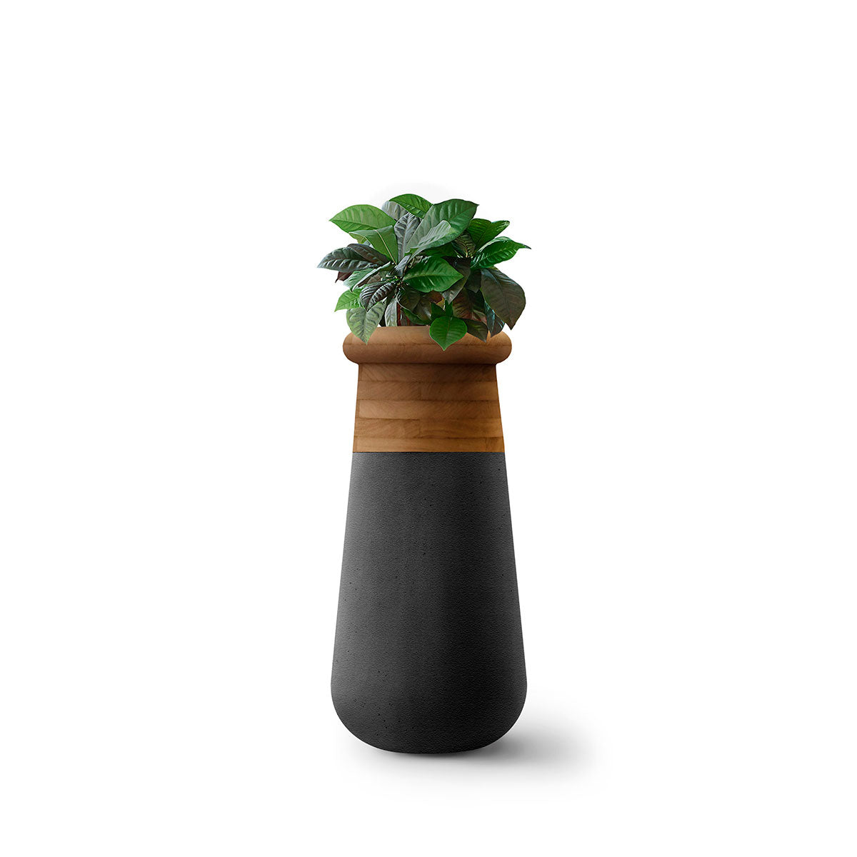Soma Wood Slim