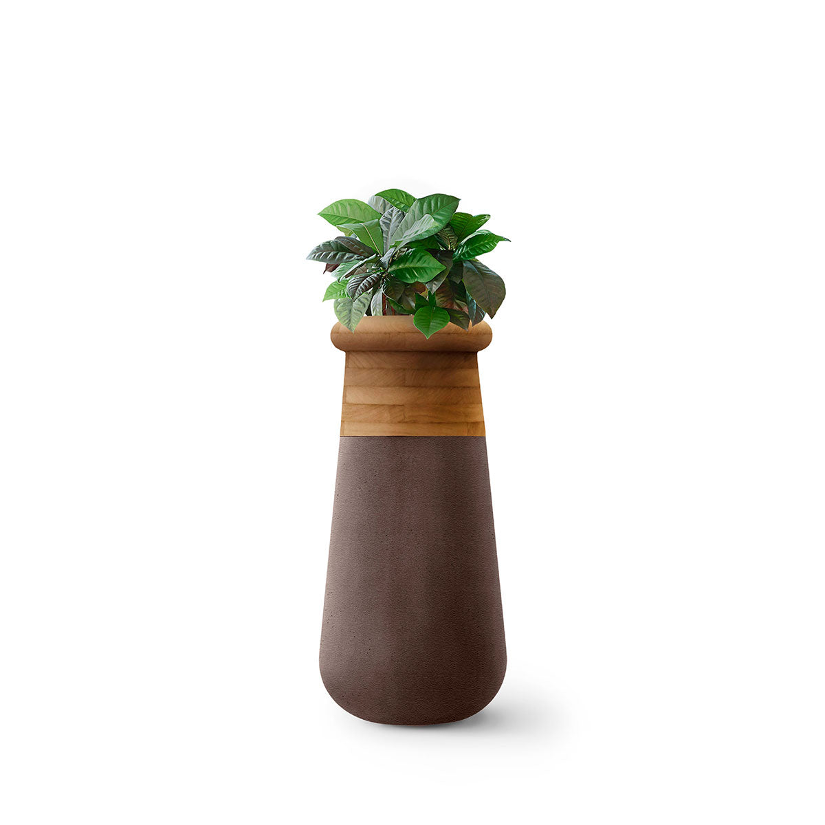 Soma Wood Slim