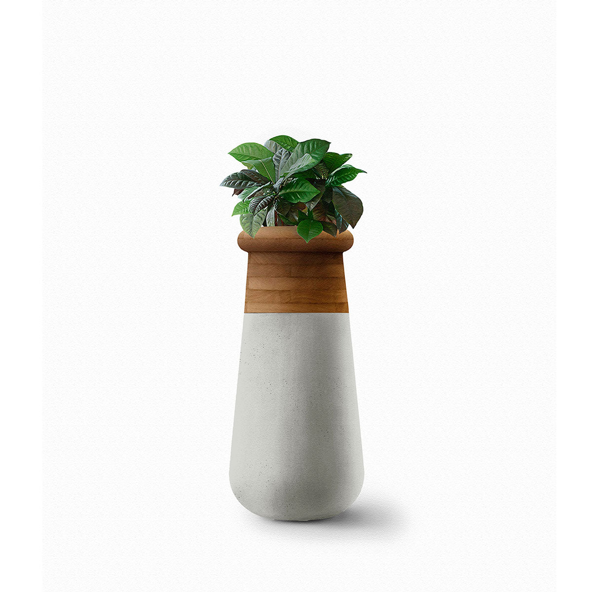Soma Wood Slim