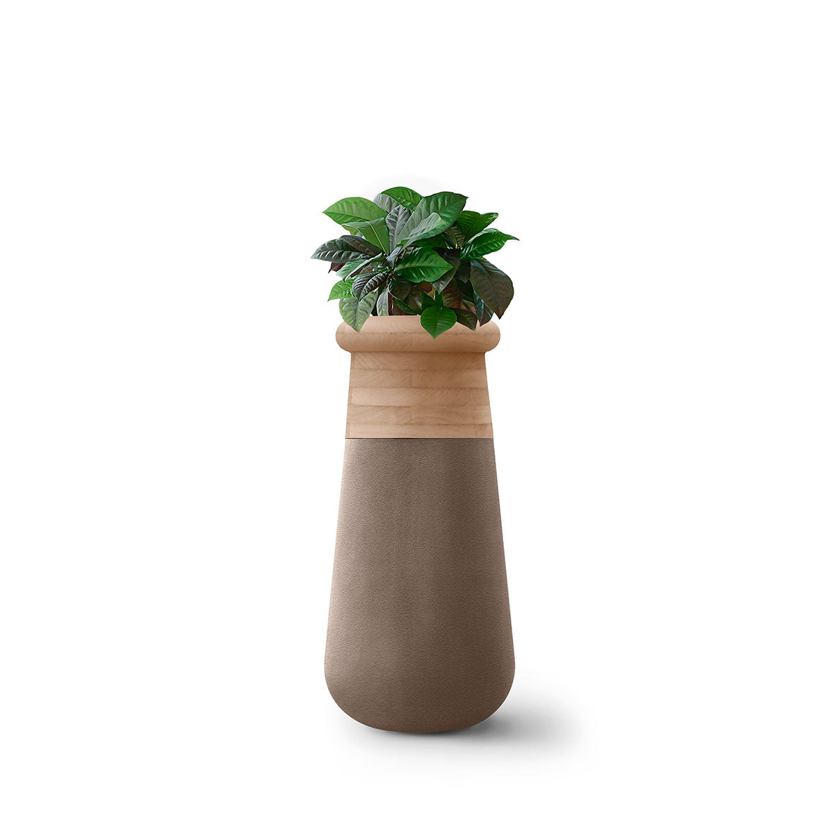 Soma Wood Slim