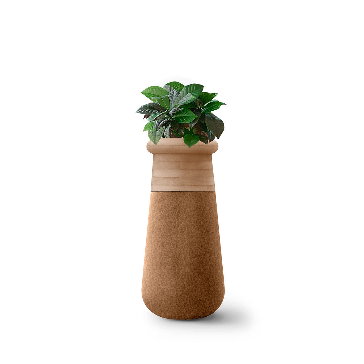 Soma Wood Slim