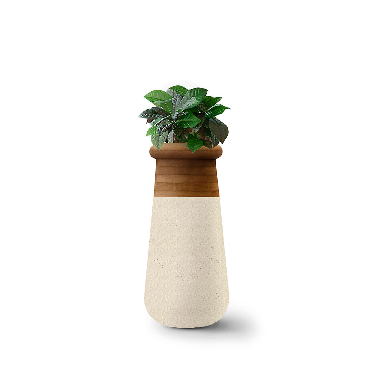Soma Wood Slim