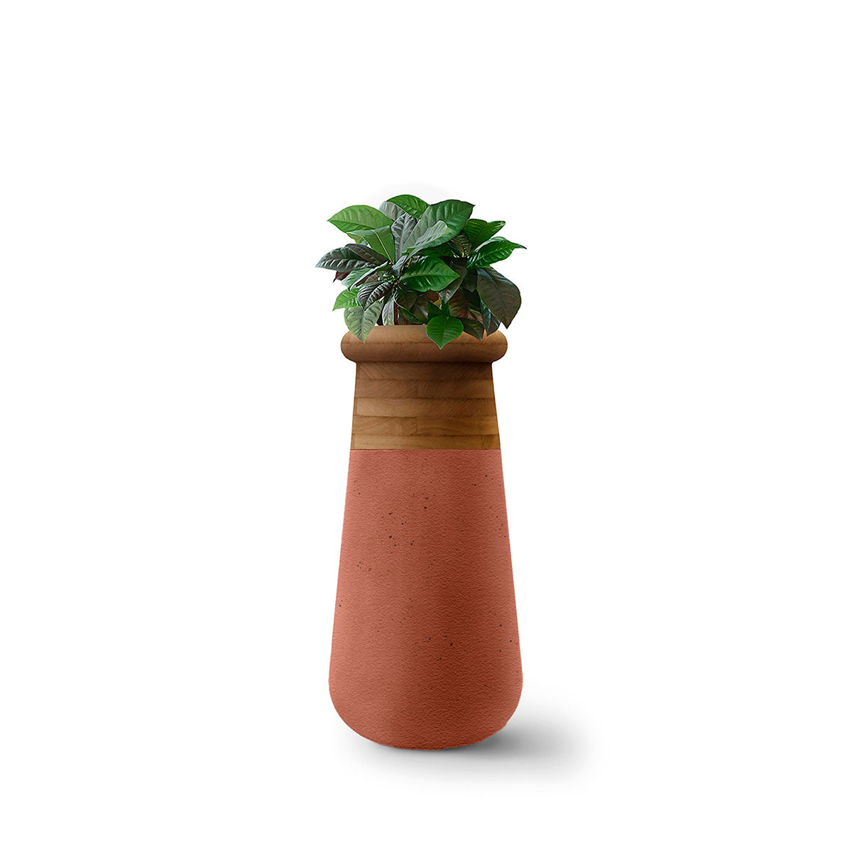Soma Wood Slim