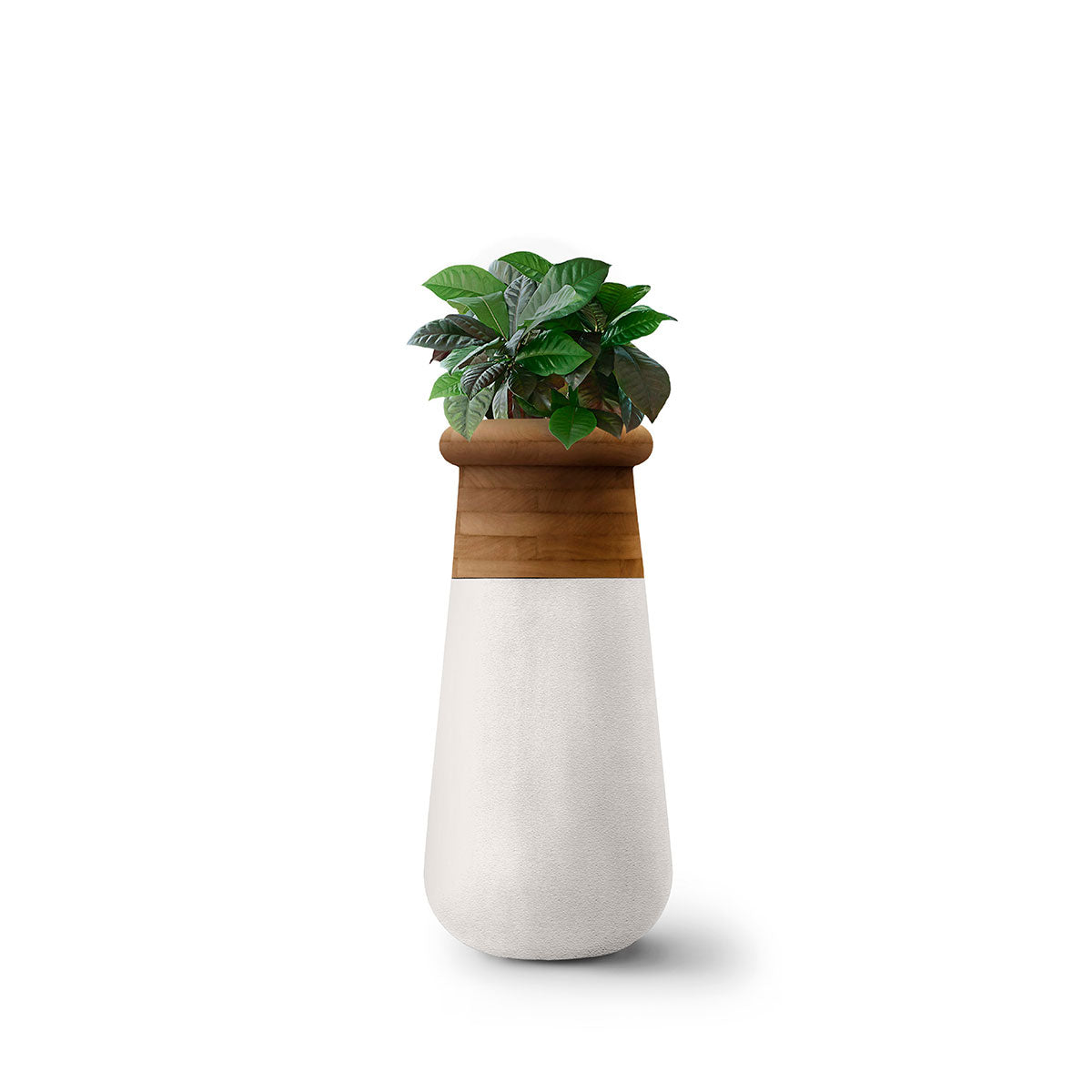 Soma Wood Slim