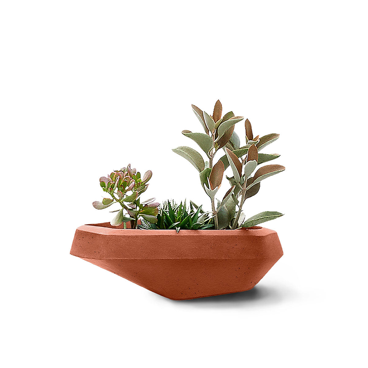 Steen Small