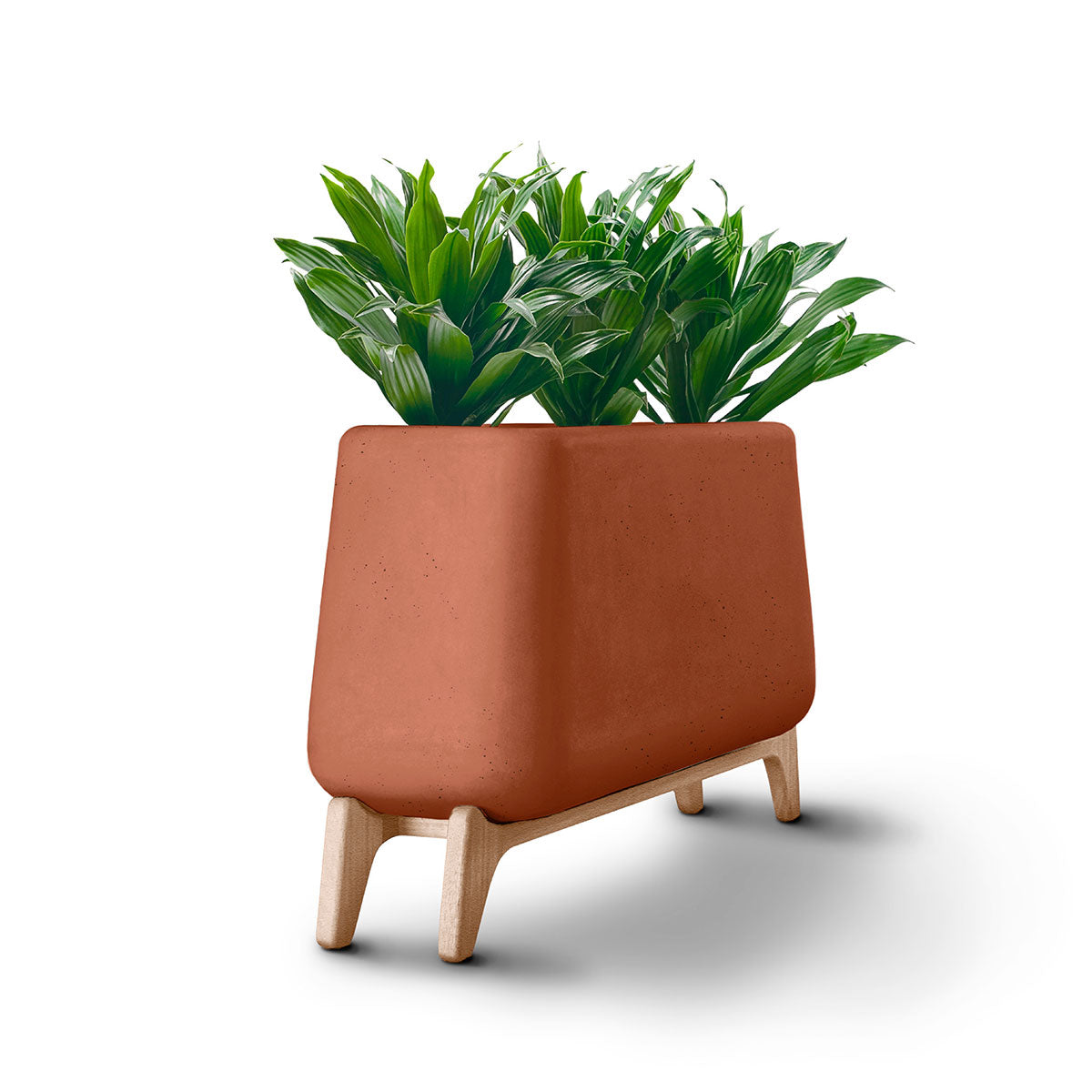 Terra Trough