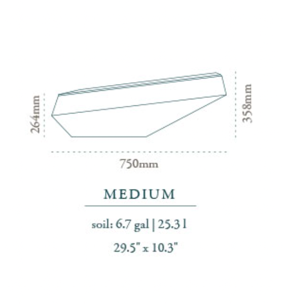 Steen Medium