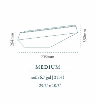 Steen Medium