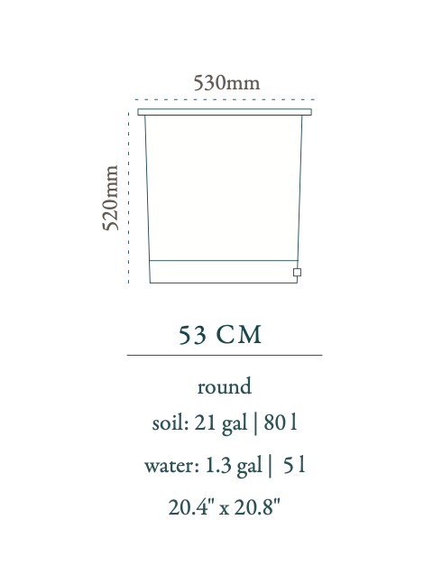 Soma Medium