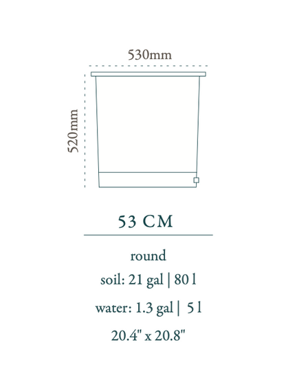 Soma Medium
