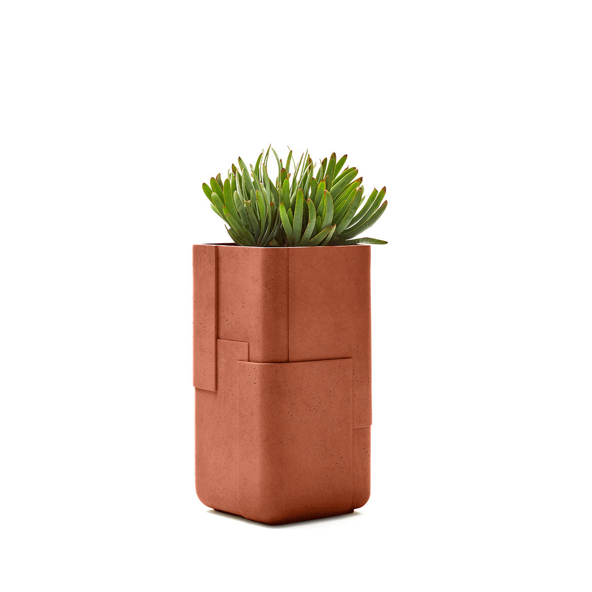 Aarde Tall XS