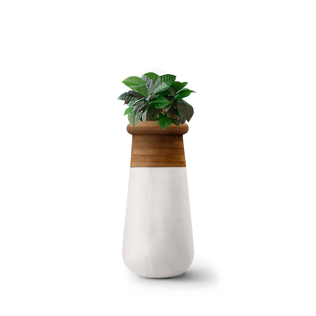 Soma Slim XS
