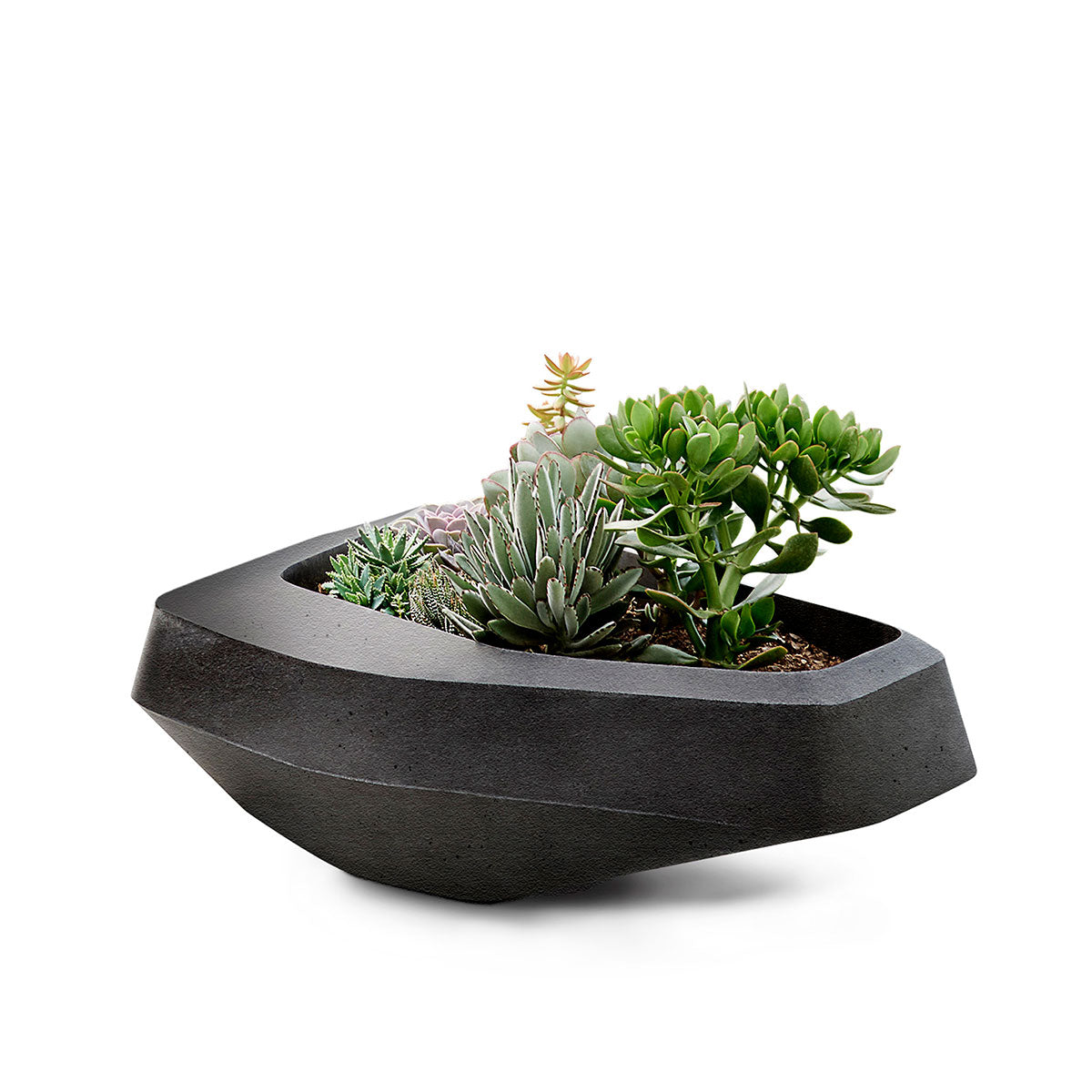 Steen Medium