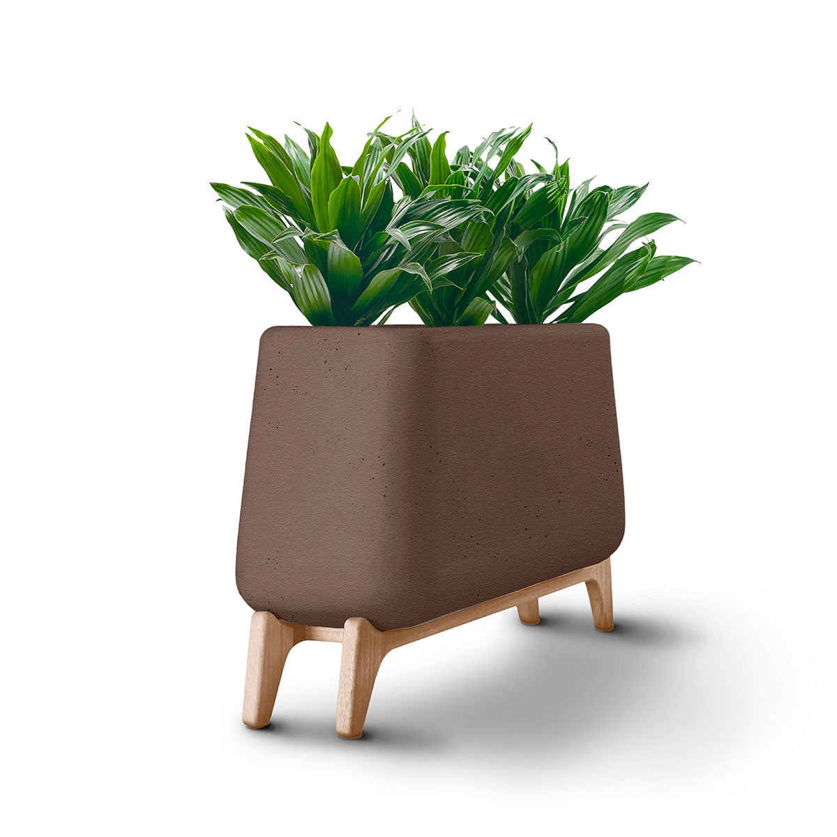 Terra Trough