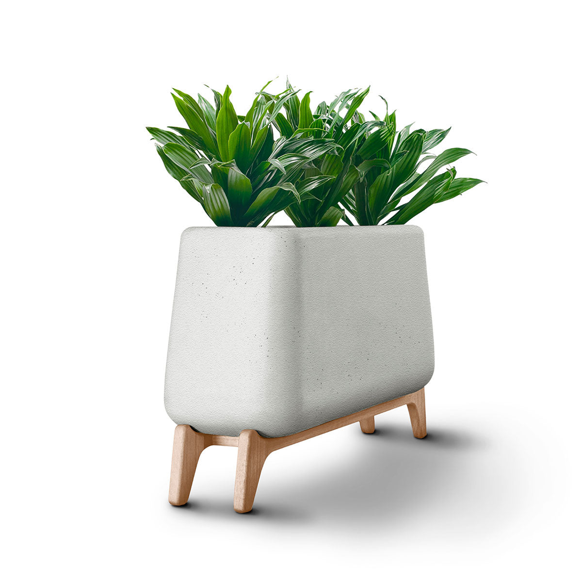 Terra Trough