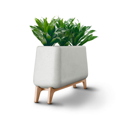 Terra Trough