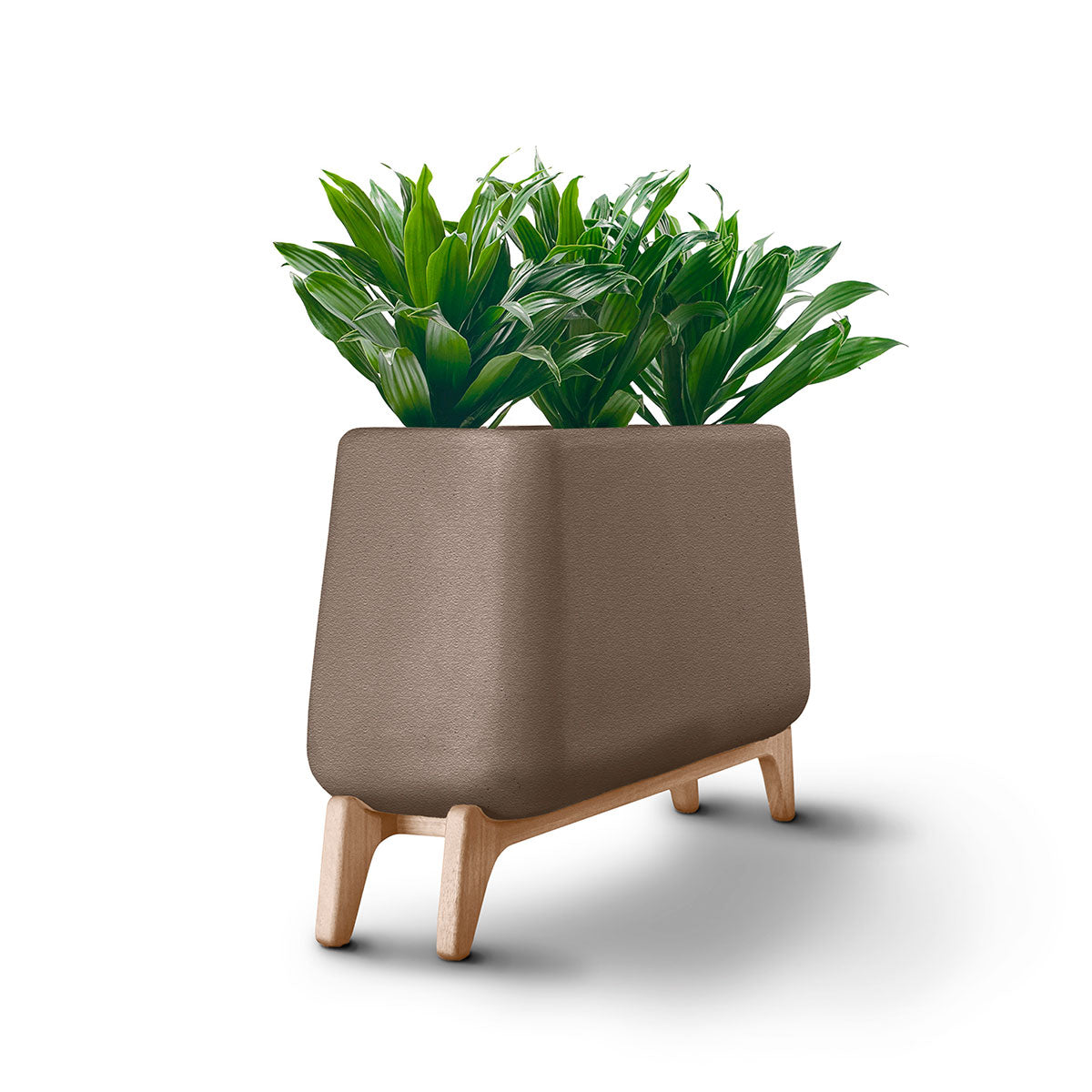 Terra Trough