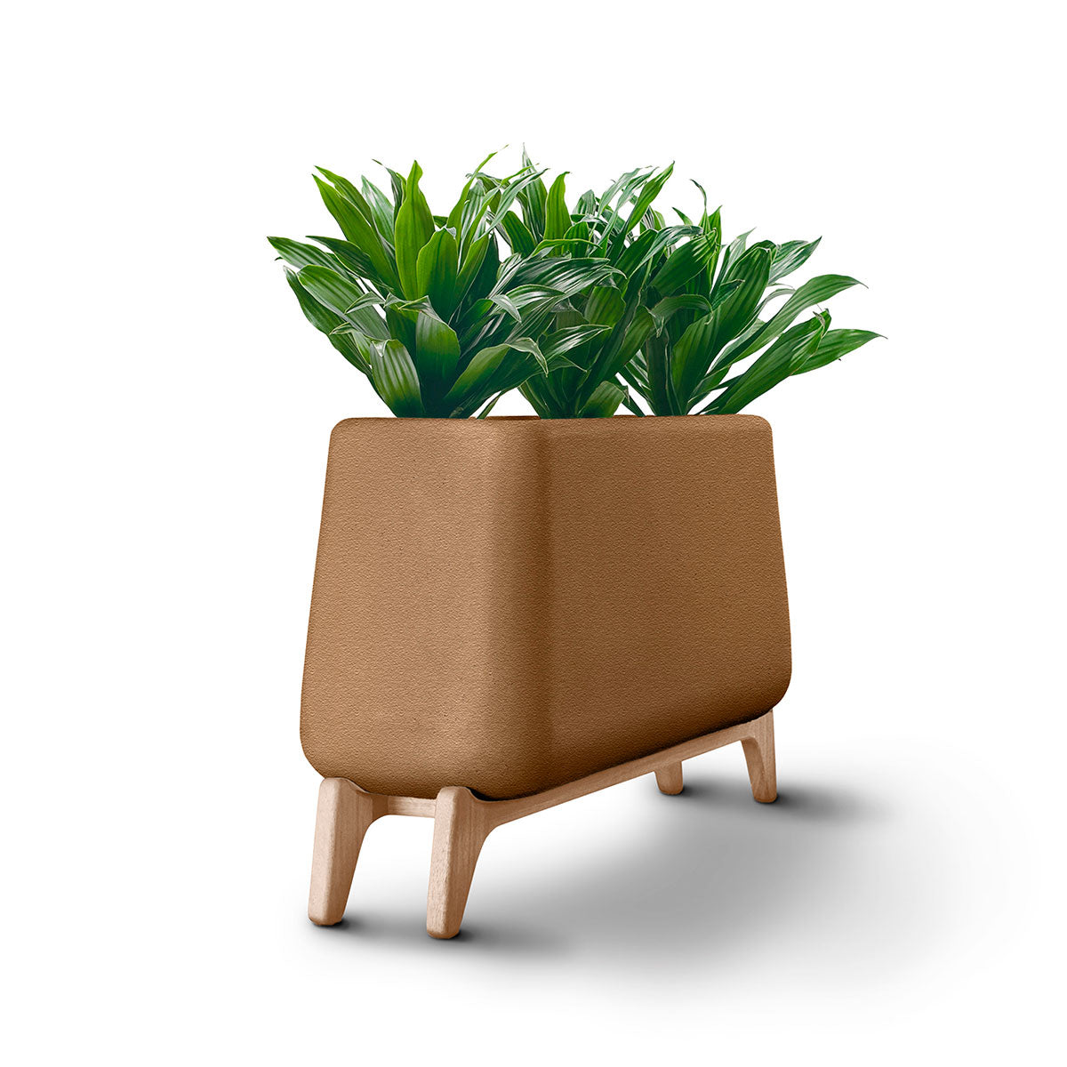 Terra Trough