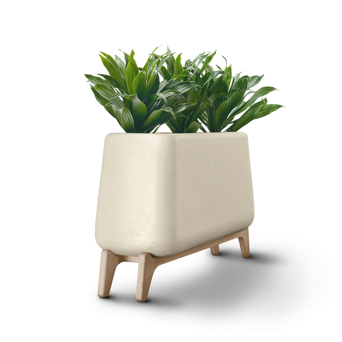 Terra Trough
