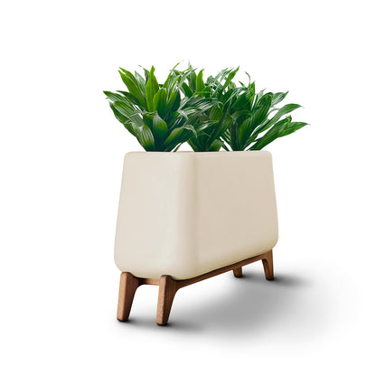 Terra Trough