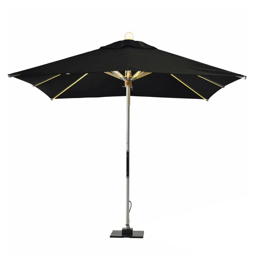 NI Parasol 300